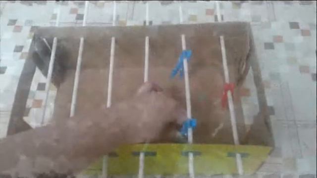 Игра Настольный футбол 0001 смотреть онлайн