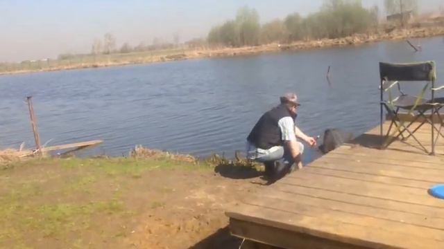 Стрелецкий Ручей 25/04- 4 смотреть онлайн