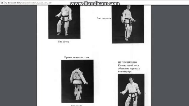 Тхэквондо стойки -Taekwondo Positions смотреть онлайн