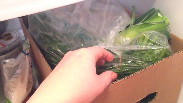 Всегда должно быть в нашем холодильнике))) смотреть онлайн