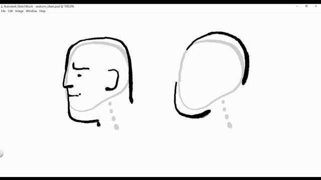 анатомия – каквато брадичката, такъв и тилът смотреть онлайн