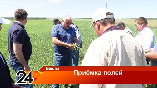 Приёмка полей - 9 июня 2023 года смотреть онлайн