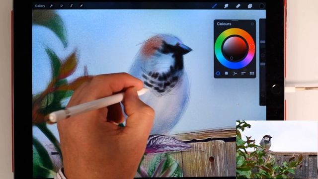 A great brush for fans of detail! 'Bonobo Chalk' brush in Procreate смотреть онлайн