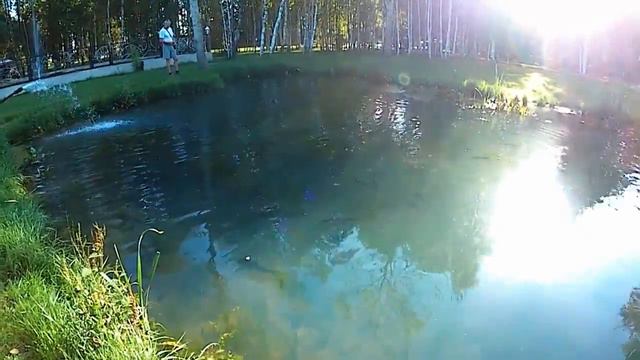Как РАЗВОДЯТ РЫБУ ФОРЕЛЬ и НЕ ТОЛЬКО смотреть онлайн