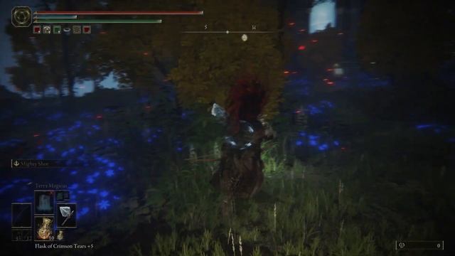 ELDEN RING-3 TURTLE BUG FIX-RANNIS DARK MOON BUG FIX смотреть онлайн