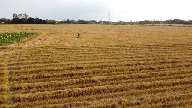 Рынок земли открыт: как продать или купить землю в Украине смотреть онлайн