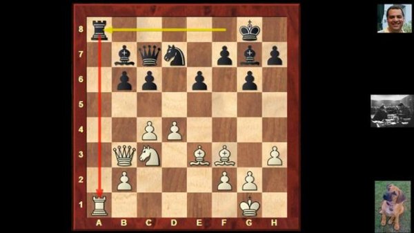 Chess Strategy: Evolution of Chess Style #125 : Alekhine vs Euwe Rematch 1937 (Chessworld.net)