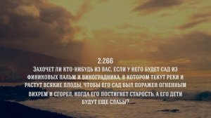 Рукья | Иса Барахоев | с переводом | Лечение колдовства и сглаза | Коран