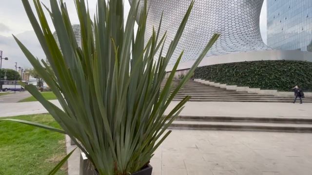 Где жить в Мехико - богатый район Поланко смотреть онлайн