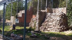 Ростовский зоопарк. Зоопарк Ростов-на-Дону. Обзор, обход.