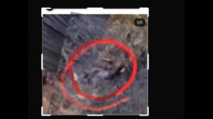 Влад Бахов. Вопросы по фото.