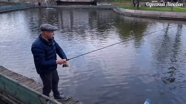 Приколы на рыбаке? Женщина и спининг‼️ смотреть онлайн