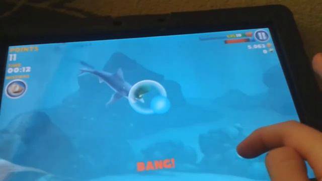Hungry Shark акулы смотреть онлайн
