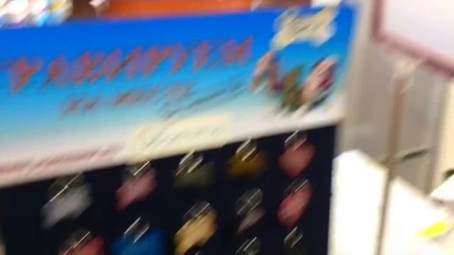 DOGVLOG:Получаем диплом, Покупаем обувь Шарлотте и гуляем смотреть онлайн