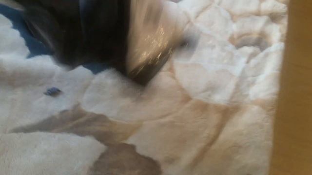 Первая покупка в интернет магазине на алиэксперсс смотреть онлайн