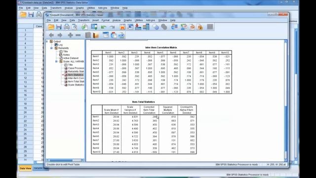 Calculating and Interpreting Cronbach's Alpha Using SPSS смотреть онлайн