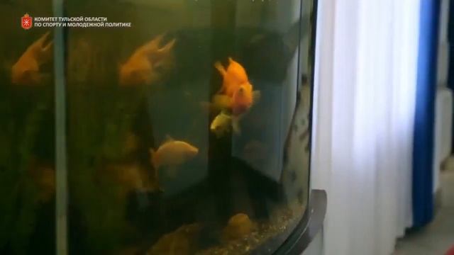 Социальный ролик по профилактике межнационального, религиозного экстремизма смотреть онлайн