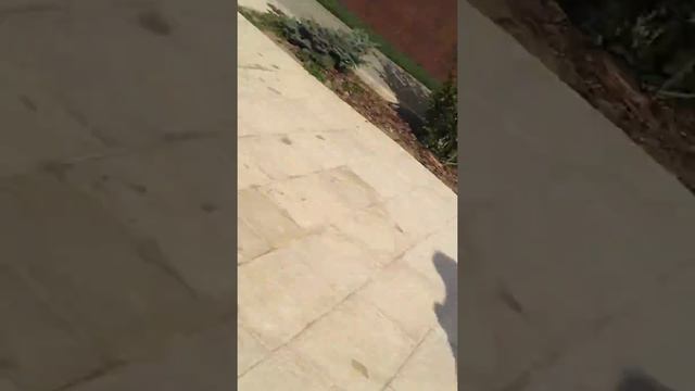 obrezat' nado baseyn смотреть онлайн