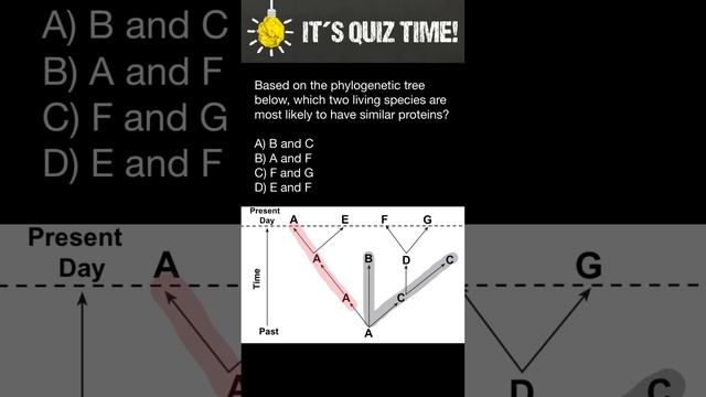 Evolutionary biology quiz смотреть онлайн