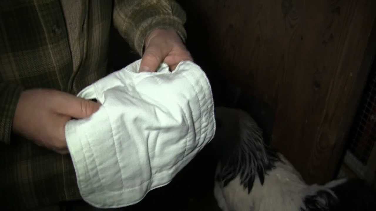 Попона для кур. смотреть онлайн