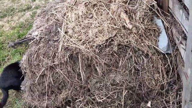 Дача/Как им тут хорошо/ Холодно... смотреть онлайн