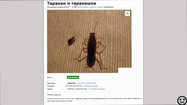 ТОП-10 САМЫХ НЕВМЕНЯЕМЫХ ОБЪЯВЛЕНИЙ НА AVITO#1 смотреть онлайн