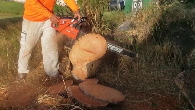 Echo CS-8002 - 80cc Workhorse Built Like A Tank! Felling Spike Upgrade.
