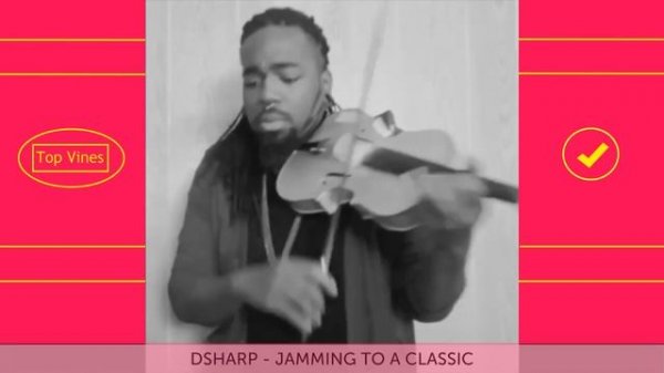 Vine Compilation #5 | Best Funny Vines