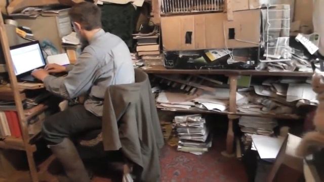 Кошки - священные Египетские помощники. Паля учится жить заново. смотреть онлайн