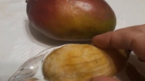 #косточка #манго / Особенности  косточки  фрукта манго (лат. mangifera indica).