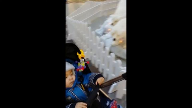 минск.торговый центр корона.зима смотреть онлайн