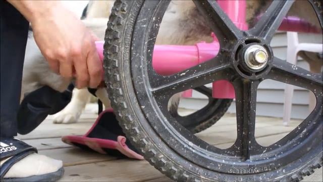 Kimber's Homemade Quadriplegic Cart Instructions смотреть онлайн