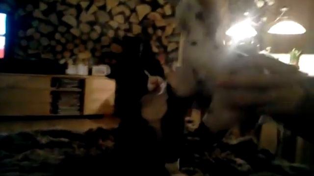 Бегемот и лошадъ смотреть онлайн
