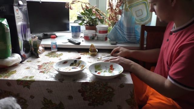 Кот Кевин отравил маму | у нас новая кошка? смотреть онлайн