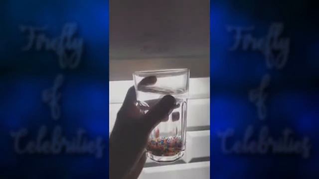 Женя Светски 12-19.02.2018 Комков забрал камеру; ищет квартиру [ INSTA STORIES ]