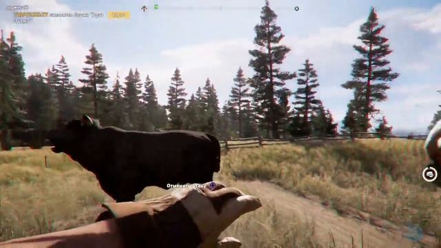 Far Cry 5 Где говядина? (Как yбить быка одним ударом) смотреть онлайн