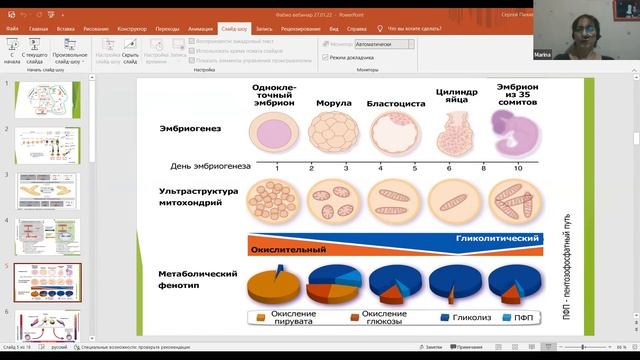 НУТРИПУНКТУРА // ВЕБИНАР ФАБИО БУРИГАН // ИКПК 2022 смотреть онлайн
