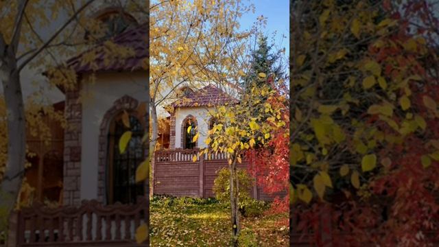 КРАСКИ ОСЕНИ.?? Караганда. Заури Оспанова. смотреть онлайн