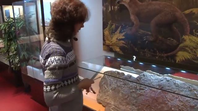 Сокровища Вятки Котельничские парейазавры смотреть онлайн