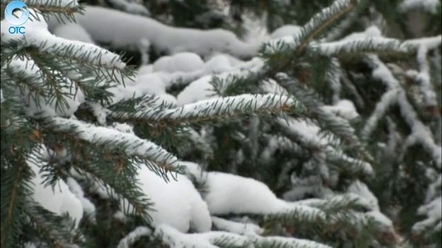 МЧС распространило информацию об ухудшении погоды в регионе смотреть онлайн