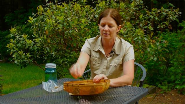 Flower Garden : How Do I Store Flower Seeds? смотреть онлайн