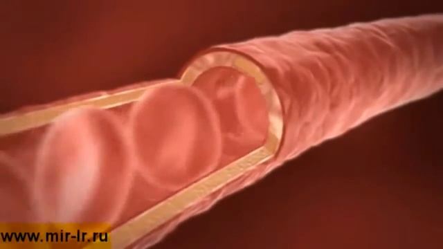 Польза алоэ вера Health & Beauty Systems смотреть онлайн