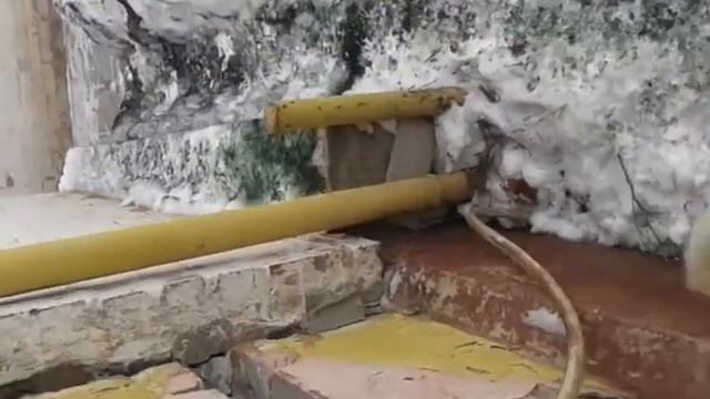 Собака посевает во дворе на Новый Год смотреть онлайн