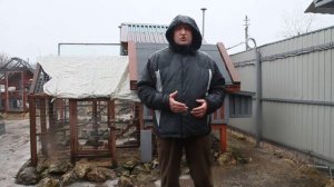 СУПЕРСКИЕ ДЕРЕВЕНСКИЕ КУРЫ.