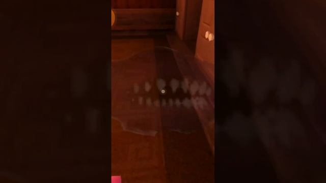 грид или Gridd жадный монстр в дорс роблокс дорс роблокс хардкор мод смотреть онлайн