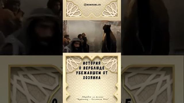 Кормилица Пророка Халима и верблюд. Мир ему и благословение. смотреть онлайн