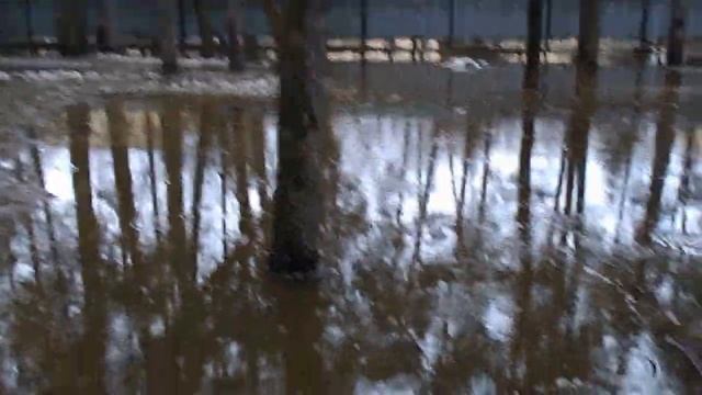 озера в зеленой роще. Екатеринбург 8 часть смотреть онлайн