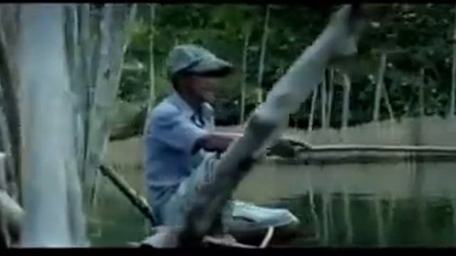 Visit Sri Lanka | Прекрасная Шри Ланка смотреть онлайн