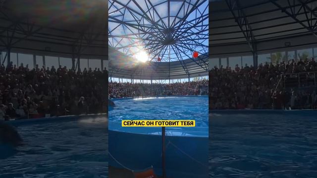 Поддержать онлайн служение добровольным пожертвованием на карту Сбер 2202206200645435 (Михаил О) смотреть онлайн