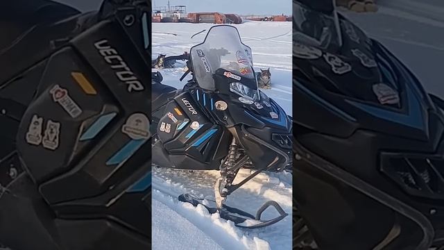 Снегоход Вектор 551 на Камчатке. *из дневника пилота